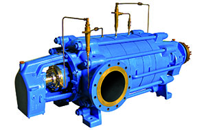 Horizontal Multi-stage Pump